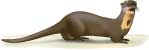 giant otter, Pteronura brasiliensis - click to view enlargement