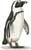 African or black-footed penguin, Spheniscus demersus - click to view enlargement