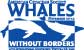2006 American Cetacean Society conference logo design - click to view enlargement